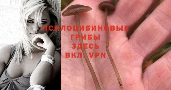 герыч Магас