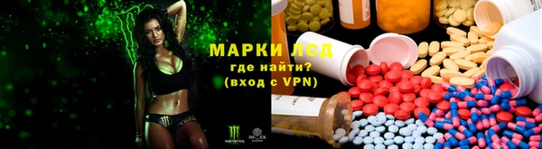 герыч Магас