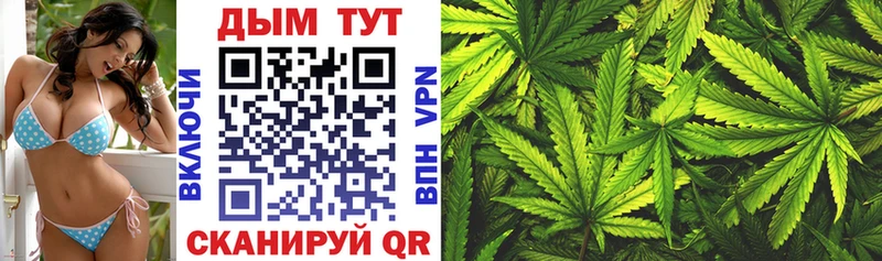 Шишки марихуана Bruce Banner  цена наркотик  Купино 
